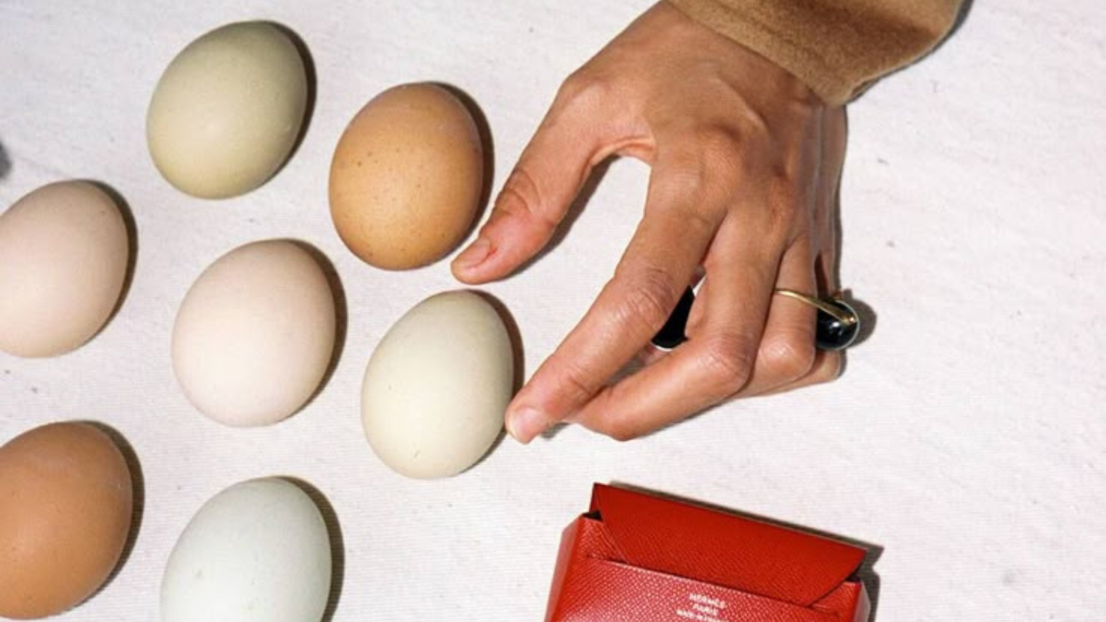 Filling in the Cracks: How to Get Enough Protein if You can’t Afford Eggs